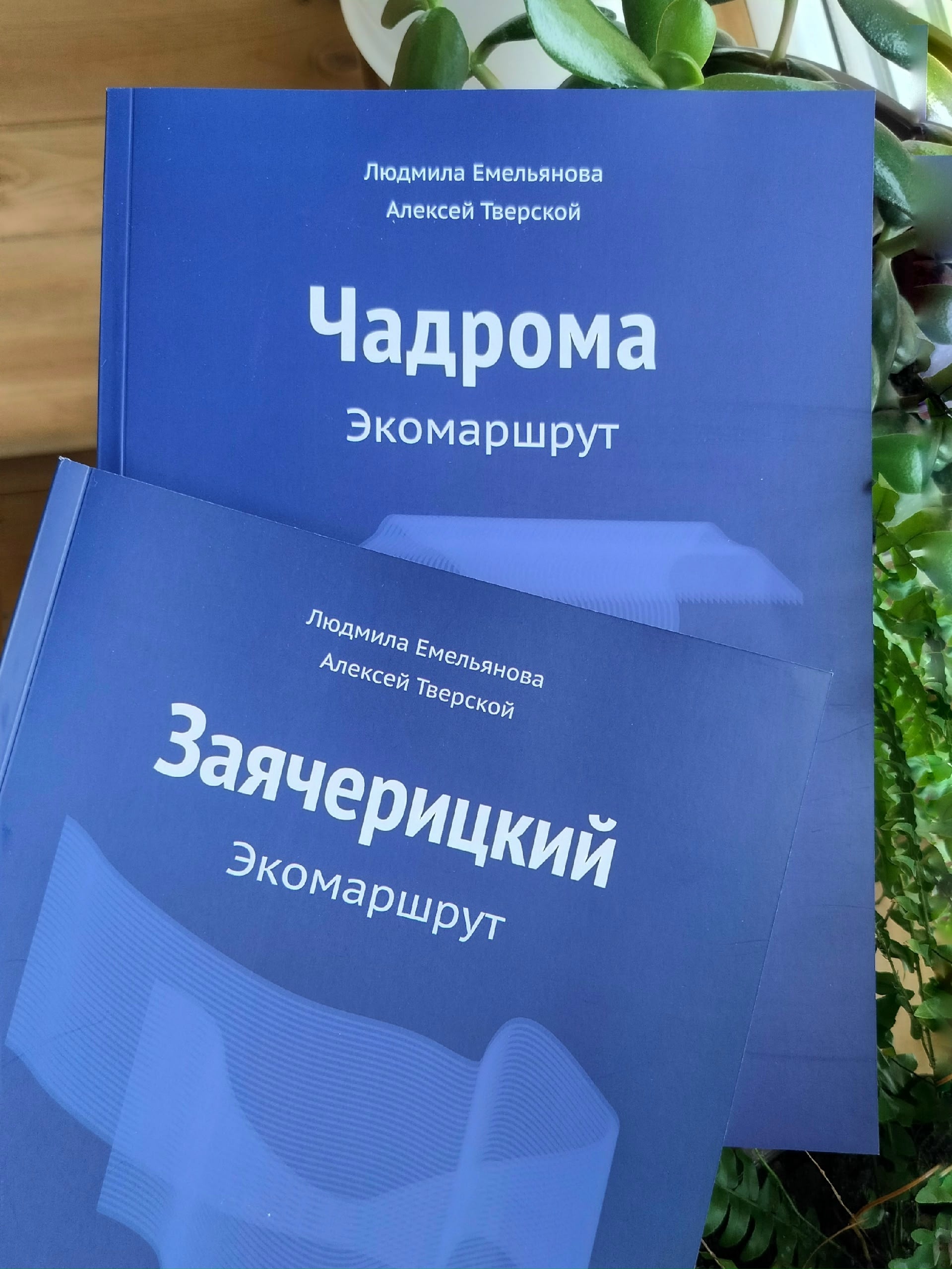 Поступление путеводителей устьянских экомаршрутов в библиотеку музея